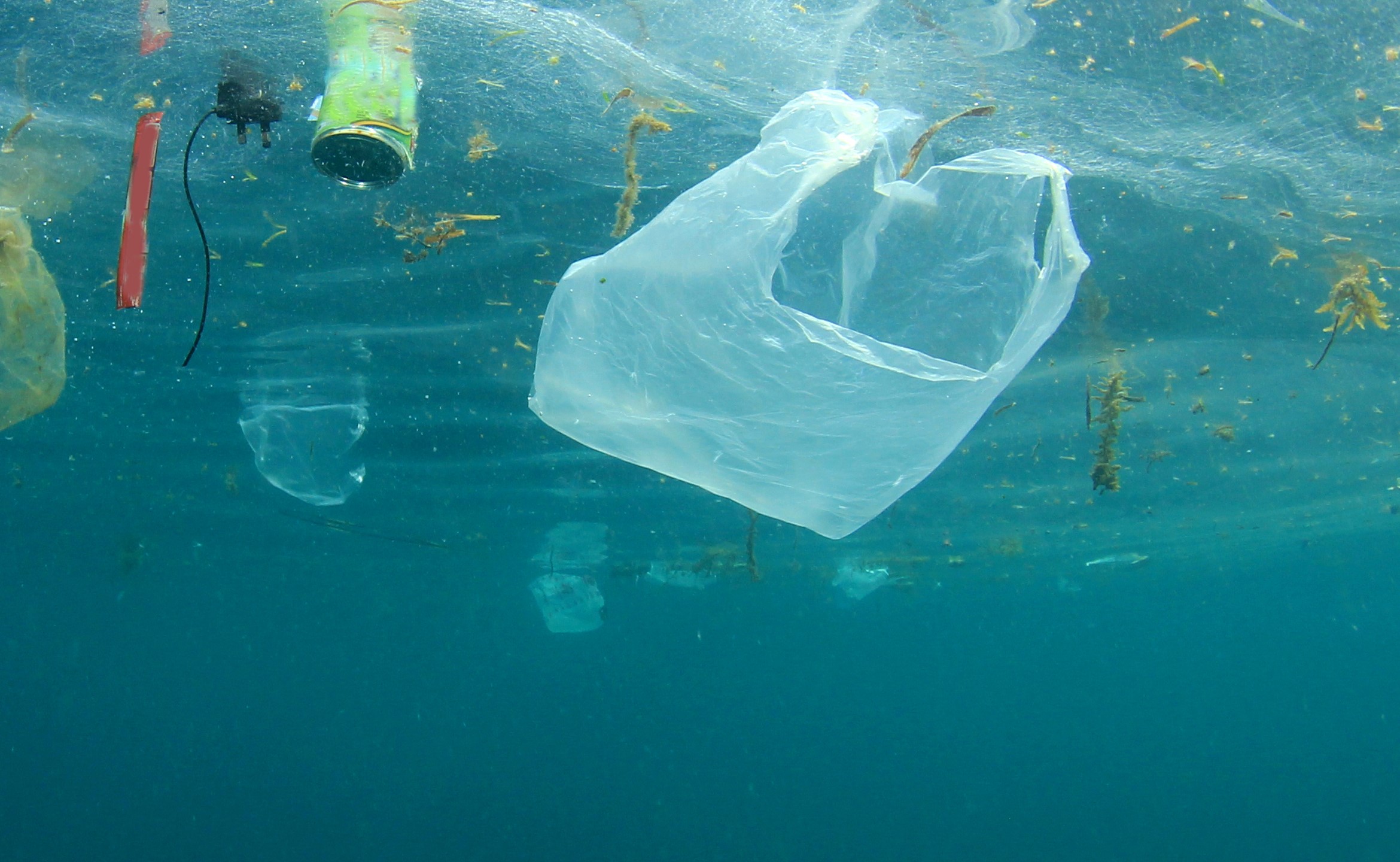 Plastic bag floating in the ocean